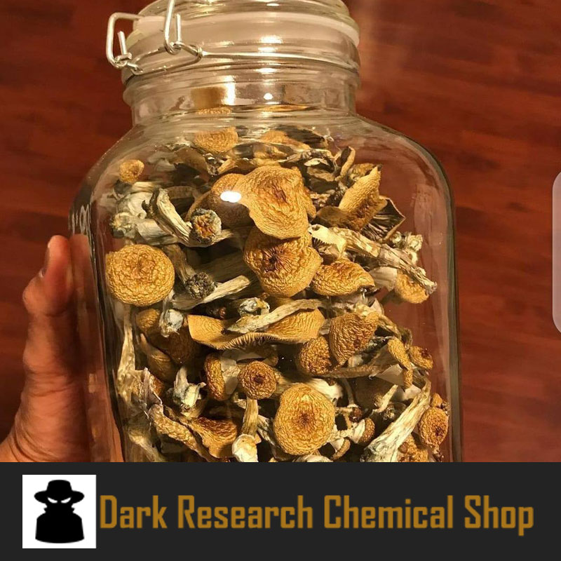 Buy penis envy shrooms online